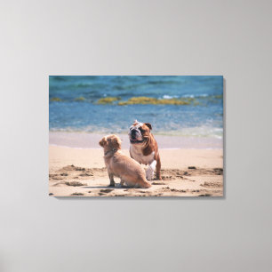 Hund von Sandy-Strand Leinwanddruck
