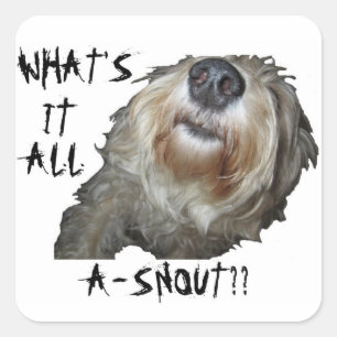 Hund "WAS IST DAS ALLES A-SCHNEE?" Aufkleber - Set