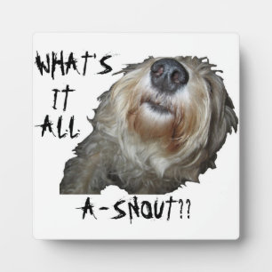 Hund "WAS IST DAS ALLES A-SCHNEE?" Tafel Fotoplatte
