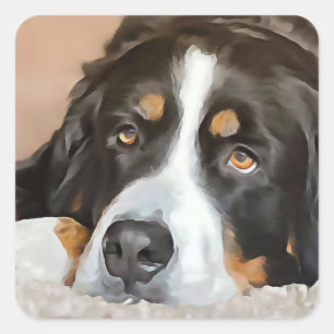 Hund, weiblicher Hund, Berner Hund Quadratischer Aufkleber