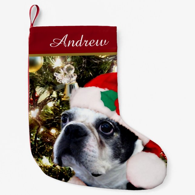 Hund Weihnachtsbostons Terrier Kleiner Weihnachtsstrumpf (Vorderseite)