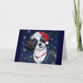 Hund WeihnachtsShih Tzu Feiertagskarte