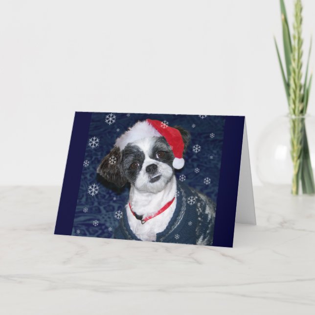 Hund WeihnachtsShih Tzu Feiertagskarte (Vorderseite)