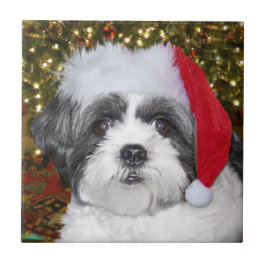 Hund WeihnachtsShih Tzu Fliese