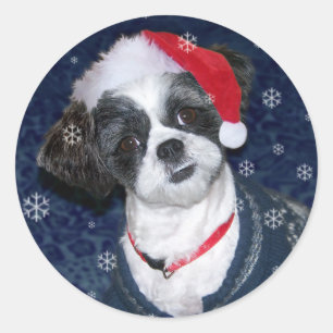 Hund WeihnachtsShih Tzu Runder Aufkleber