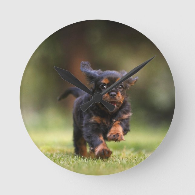 Hund, Welpe, Cavalier Runde Wanduhr (Vorderseite)