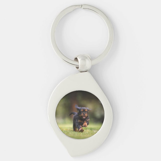 Hund, Welpe, Cavalier Schlüsselanhänger (Vorderseite)