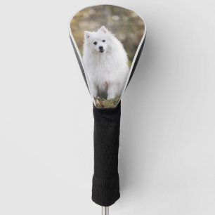 Hund Welpe Kanine Weißer Hund Fur OtterBox Golf Headcover