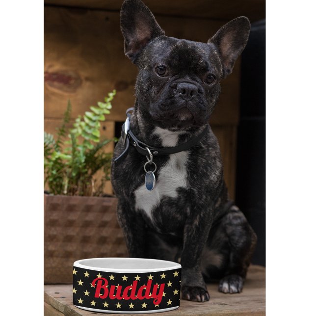 Hund Welpe Katze Kitty Pet Name Black Gold Stars N Napf (Dog Puppy Cat Kitty Pet Name Black Gold Stars Food Bowl)