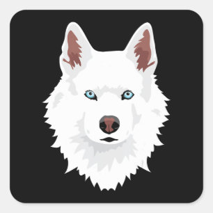 Hund   White Siberian Husky Canine White Snow Dog Quadratischer Aufkleber