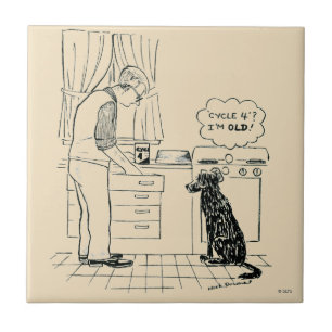 Hund wird älter fliese