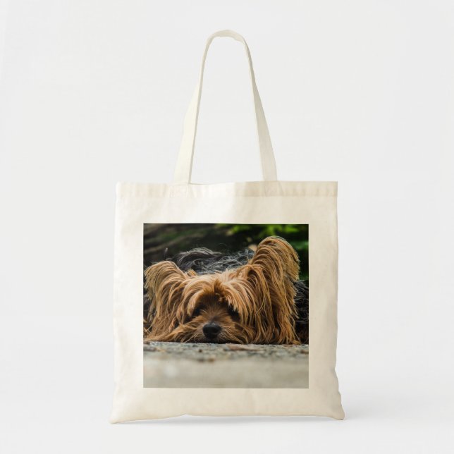 Hund Yorkshires Terrier Tragetasche (Vorne)