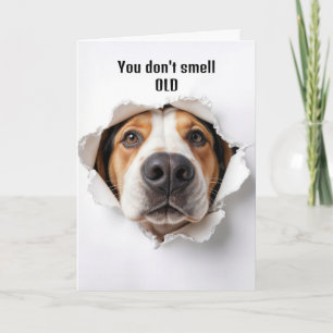 Hund zum Geburtstag im Papierloch Karte