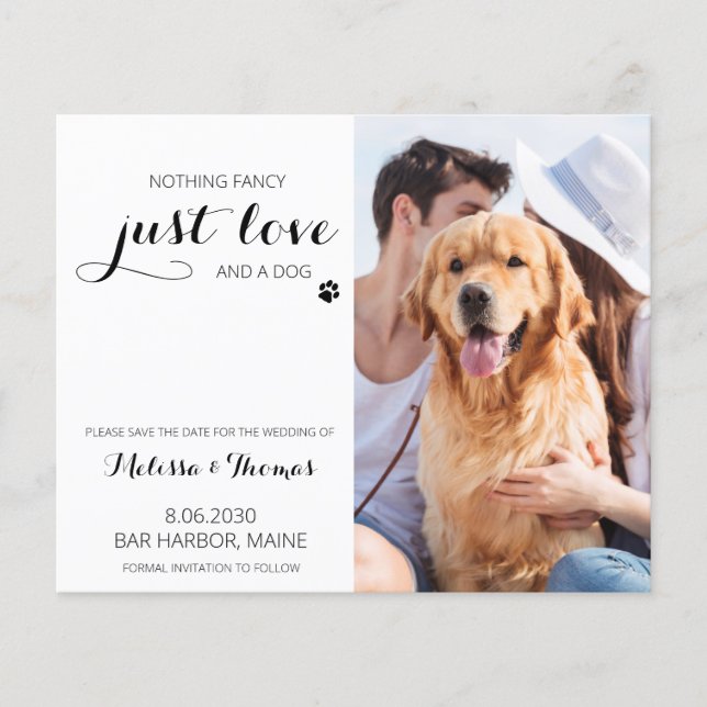 Hund zum Hochzeitessen des Hauses speichert die Da (Vorderseite)