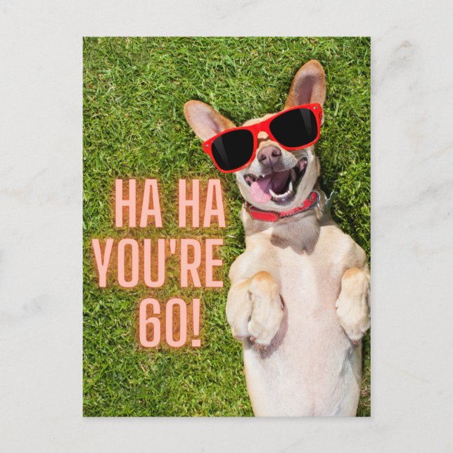 Hund zum Lachen 60. Geburtstag Postkarte (Vorderseite)