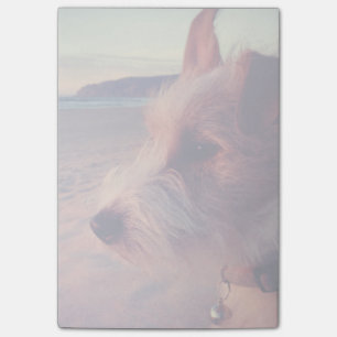 Hund zum Strand Post-it Klebezettel