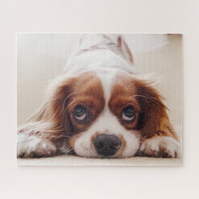 Hündchen (Horizontal)