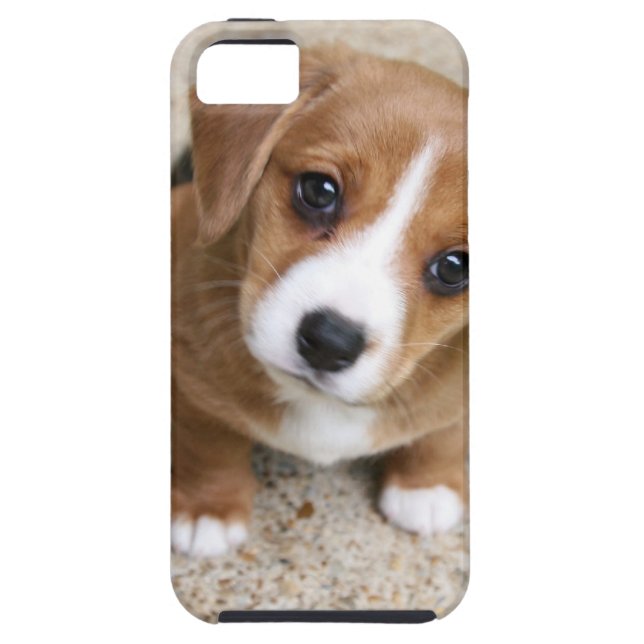Hündchen-Augen Case-Mate iPhone Hülle (Rückseite)