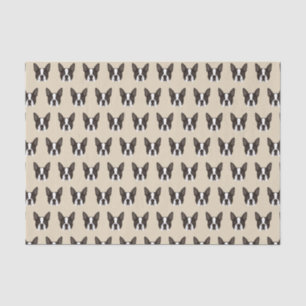 Hündchen Bostons Terrier Seidenpapier