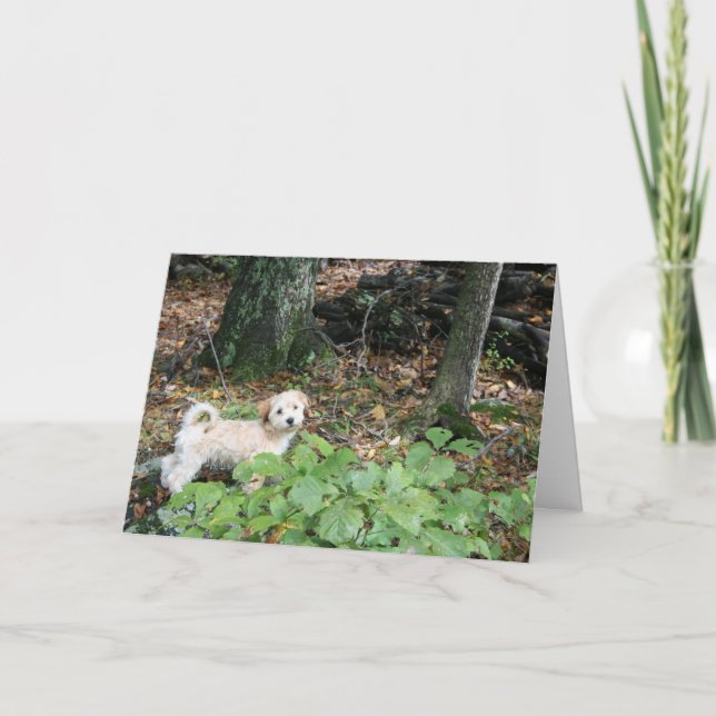 Hündchen-Geburtstags-Karte Karte (Vorderseite)