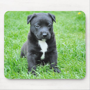 Hündchen Mousepad