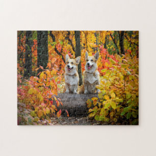 Hunde