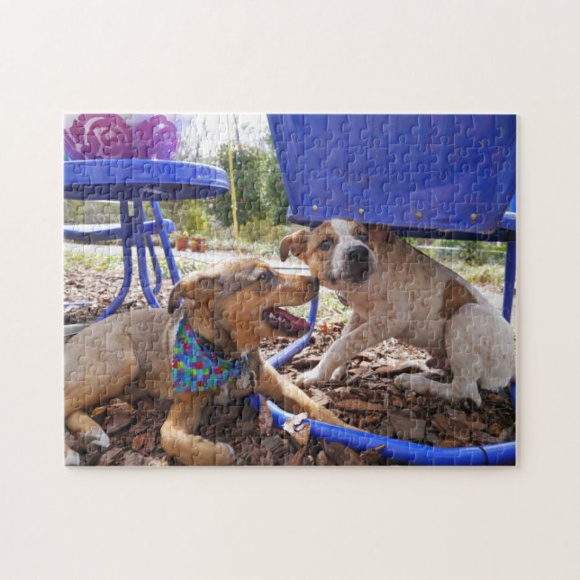 hunde (Horizontal)