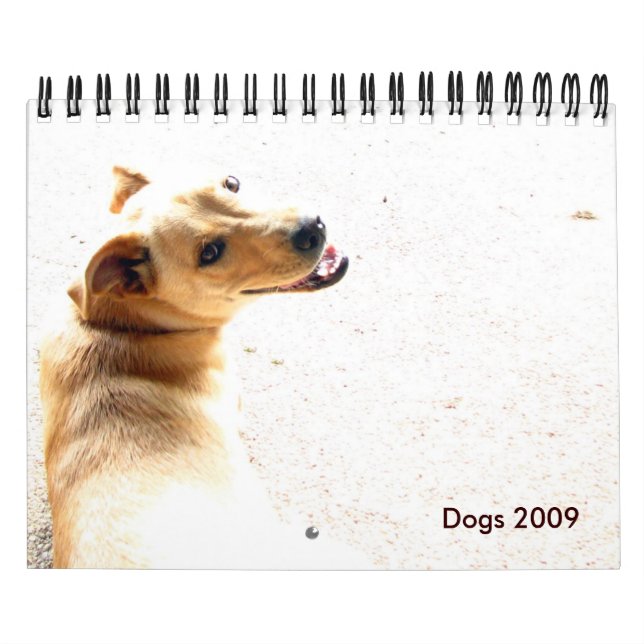 Hunde 2009 kalender (Titelbild)
