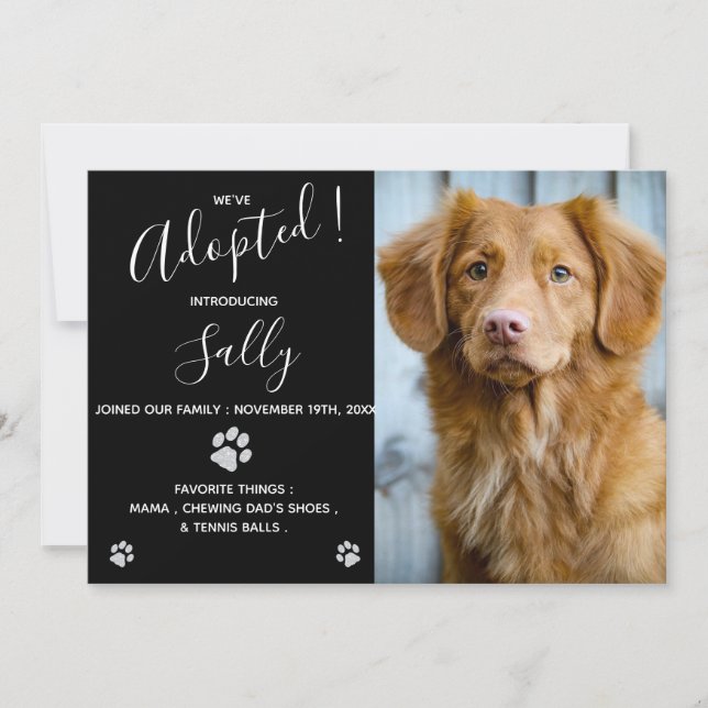 Hunde Adoption - Puppy-Dusche Party - Neue Haustie Einladung (Vorderseite)