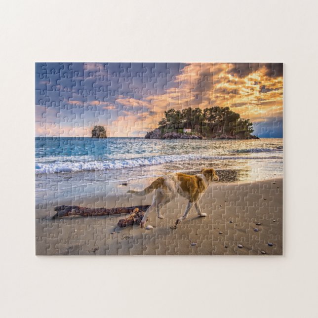 Hunde am Strand bei Sunset (Horizontal)
