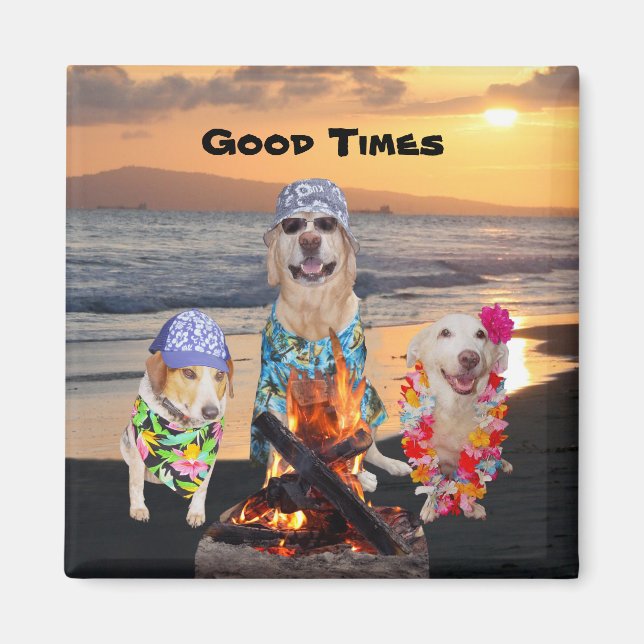 Hunde am Strand bei Sunset Magnet (Vorne)