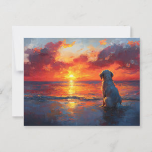 Hunde am Strand beim Sonnenuntergang Postkarte