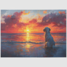 Hunde am Strand beim Sonnenuntergang