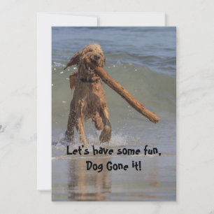 Hunde am Strand Einladung