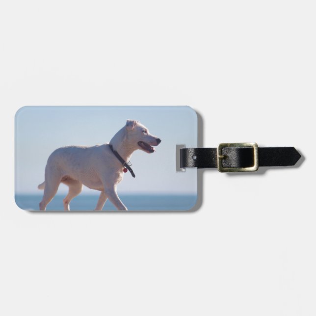 Hunde am Strand Gepäckanhänger (Vorderseite horizontal)