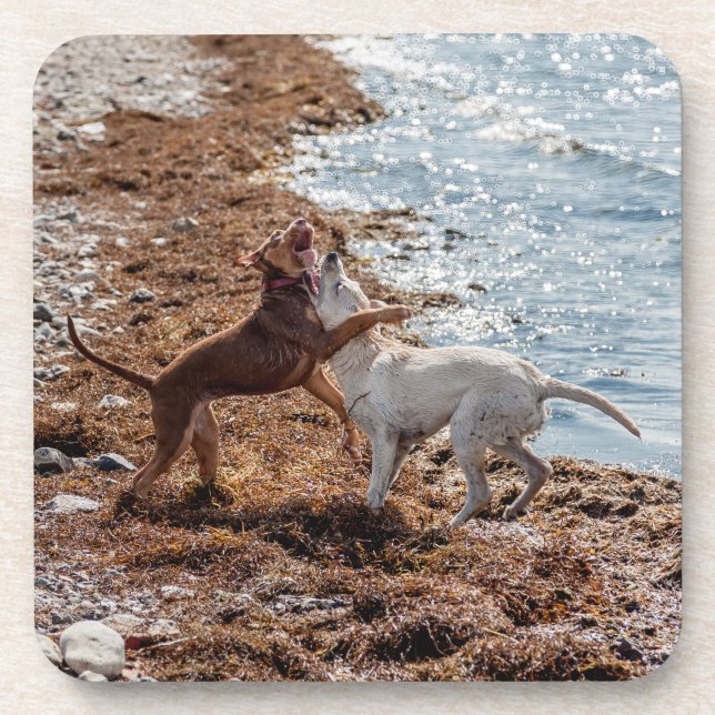 Hunde am Strand Getränkeuntersetzer (Vorderseite)