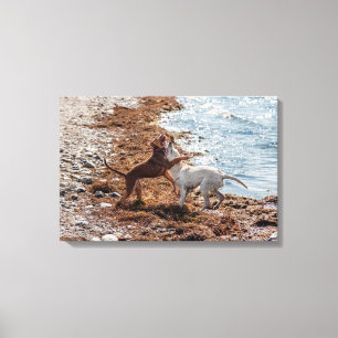 Hunde am Strand Leinwanddruck