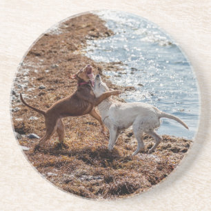 Hunde am Strand Untersetzer