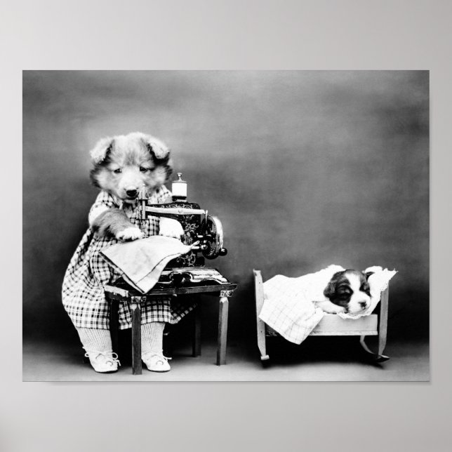 Hunde an der Nähmaschine - Babykleidung herstellen Poster (Vorne)