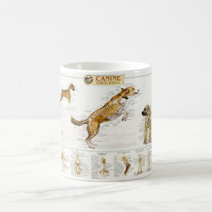 Hunde- Anatomie-Tasse Kaffeetasse