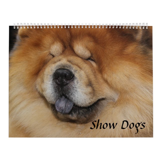 HUNDE ANZEIGEN KALENDER (Titelbild)