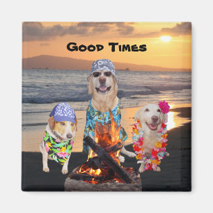 Hunde auf dem Strand am Sonnenuntergang Magnet