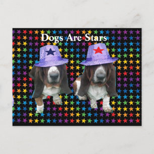 Hunde auf der Postkarte sind Sterne