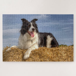 Hunde auf Hay Bale 1014 Piece Jigsaw Puzzle