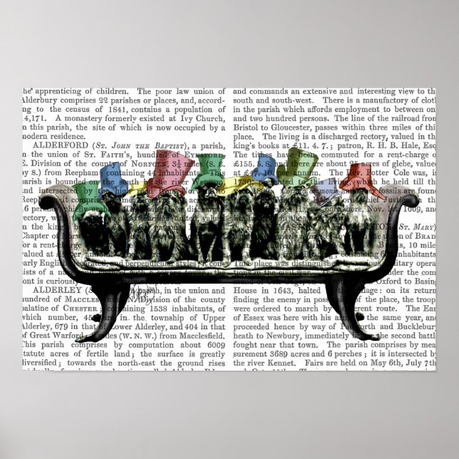 Hunde auf Sofa Poster (Vorne)