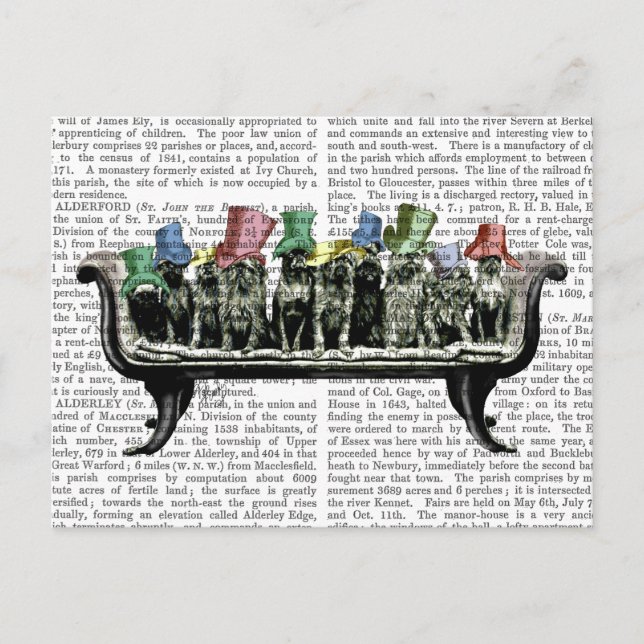 Hunde auf Sofa Postkarte (Vorderseite)