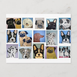 Hunde aus Ginsburg Postkarte