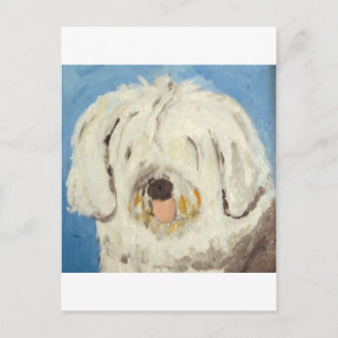 Hunde aus Ginsburg Postkarte