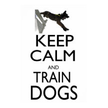 Hunde behalten und trainiert