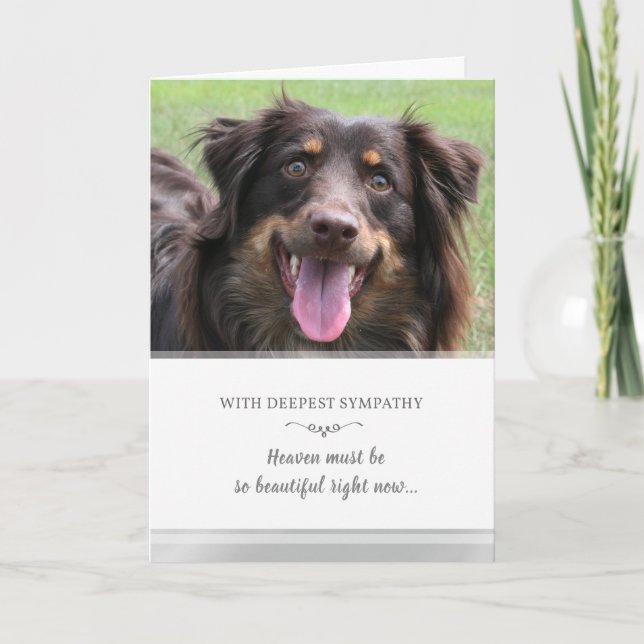 Hunde Beileid Custom FOTO Himmel muss schön sein Karte (Vorderseite)